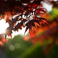 制定篮球交流计划以促进个人技能发展的方法_1